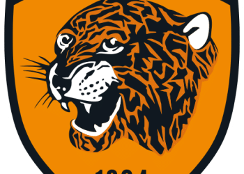 Hull City Logo